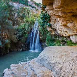 Ein Gedi