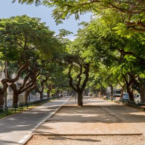 Tel Aviv avenue