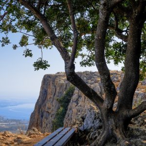 arbel