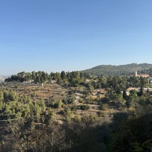 הנוף מעין כרם