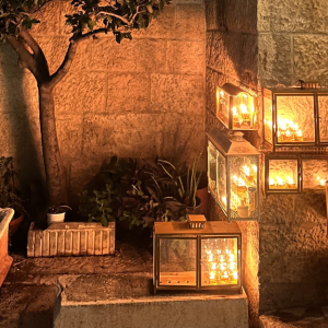 צילום גל כליל החורש5